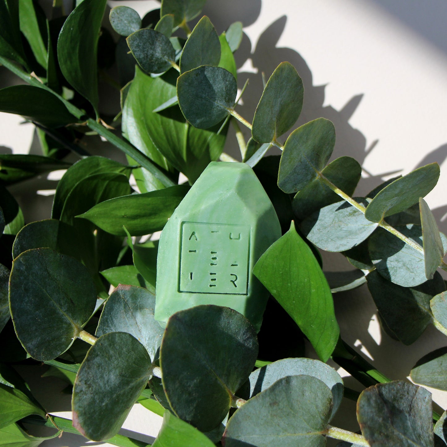 A green embossed shampoo bar nestled in leaves